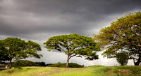 Hawaii Landscape