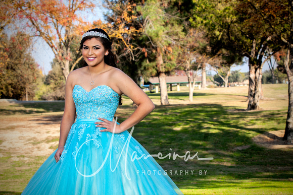 Briana Hernandez Quinceaner pix (19 of 328)